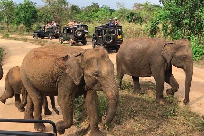 Hurulu Eco Park Private Safari - Park entry fees: the part people forget until it’s time