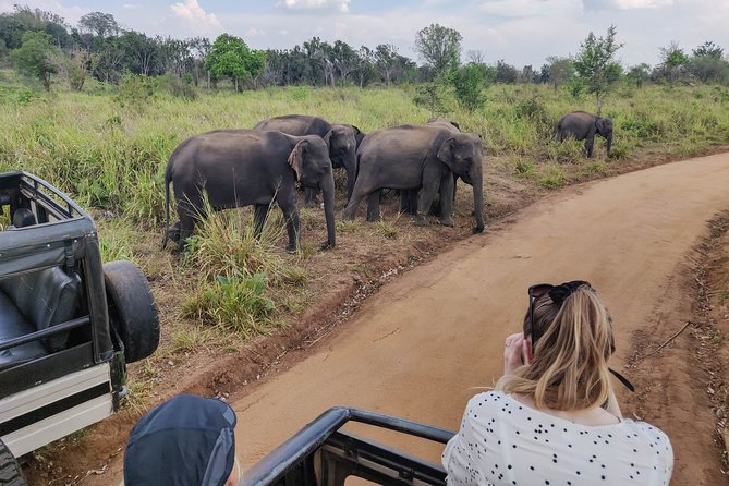 Hurulu Eco Park Private Safari from Sigiriya - Sigiriya stop: five minutes is for views, not the full climb