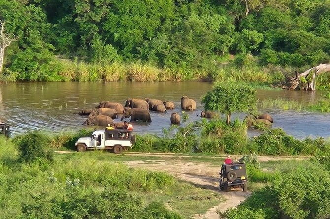 Hurulu Eco Park Safari Adventure - Price and what you actually pay: $18 plus the park entrance