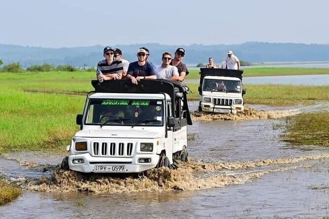 Hurulu Eco Park Safari Adventure - What the 3-hour jeep drive feels like once you’re inside