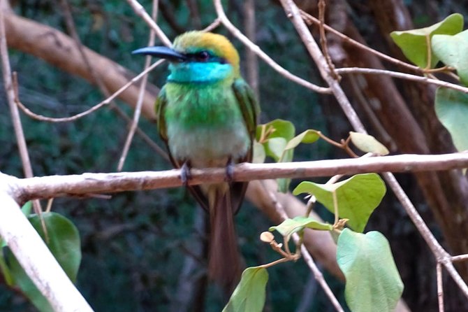 Jeep Safari at Kumana National Park - Cost and what you should budget for (including park entry)