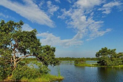 Kalametiya Bird Sanctuary Catamaran Bird Watching Tour - The 2–3 hour boat session: catamaran birding at a workable pace