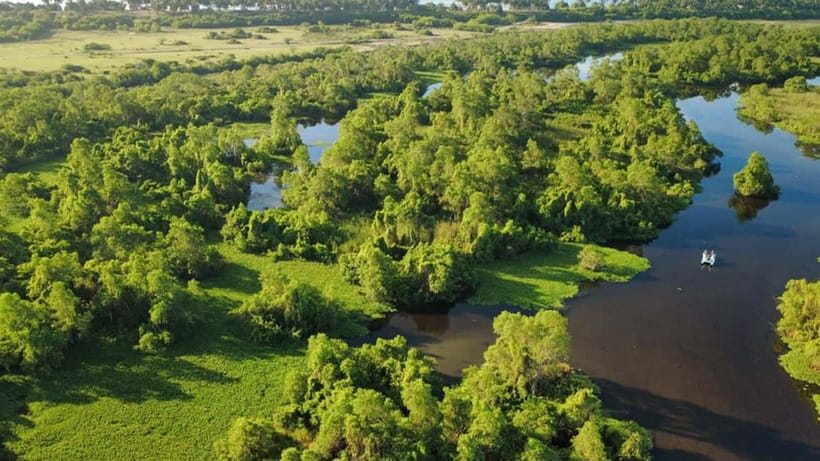 Kalametiya Sanctuary: Bird Watching by Private Boat Tour - Price and Logistics: What You Should Budget For