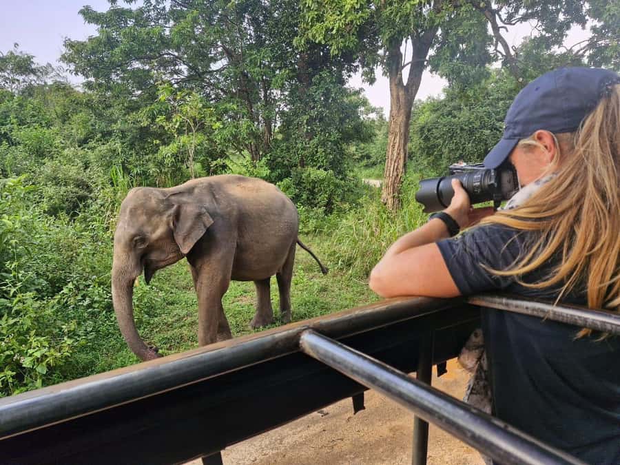 Kandy: 4-Day Sri Lanka Full Circle Private Tour To Colombo - Kandy’s Sacred Sights: Tooth Temple and a City Tour You’ll Actually Use