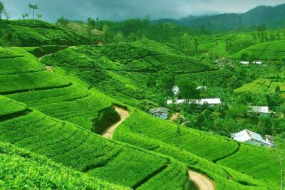 Kandy and Pinnawala Private Day Tour from Colombo/Negombo - Price and value: what $65 covers (and what you’ll pay separately)