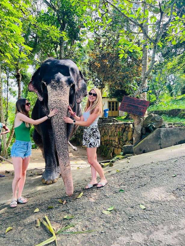 Kandy City Day Tour from Colombo, Negombo or Katunayake - Mawanella Spice Garden: Plants, Herbs, and Ayurvedic Medicine Stories