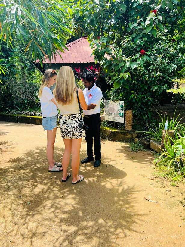 Kandy City Day Tour from Colombo, Negombo or Katunayake - Kandy View Point and Kandy Lake: Easy Ways to See the City
