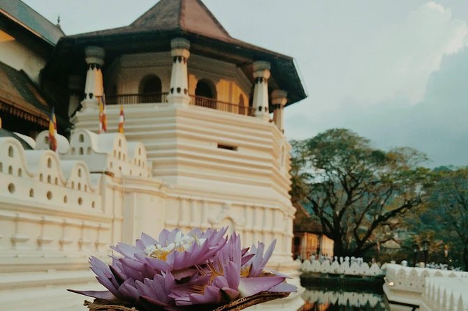 Kandy City guide Tour and day trip private luxury car and van - Tea factory at Kadugannawa: Ceylon tea in a day plan