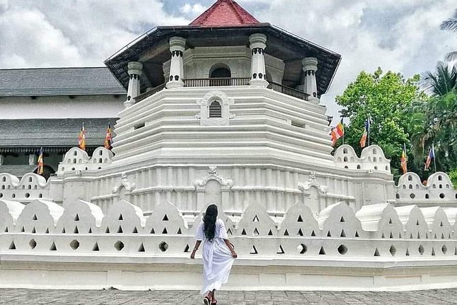 Kandy City guide Tour and day trip private luxury car and van - Royal Botanical Gardens: the one cost you should plan for