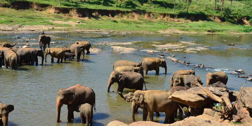 Kandy: City Highlights and Ramboda Waterfall Trip - Key things I’d circle on this Kandy to Ramboda day