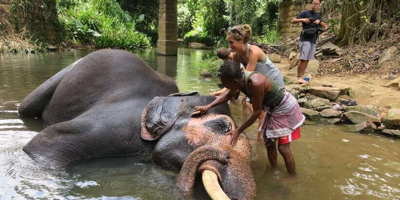 Kandy: City Highlights and Ramboda Waterfall Trip - A Door-to-Door Kandy Day That Actually Makes Sense