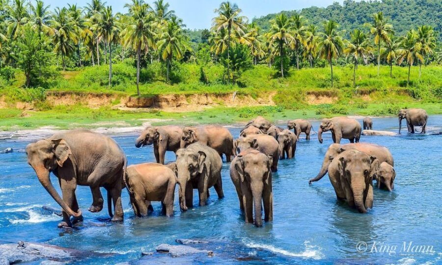Kandy: City Highlights and Ramboda Waterfall Trip - Kandyan Culture Show: A Short Dose of Performance After Long Driving