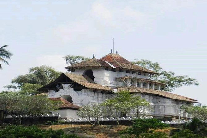 Kandy City Tour - Royal Botanical Gardens: where the calm is the point