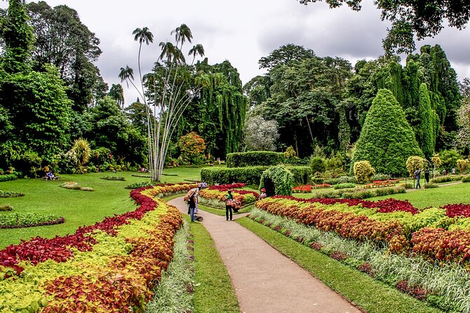 Kandy City Tour from Colombo - Temple of the Sacred Tooth Relic: Golden Roof, Living Faith