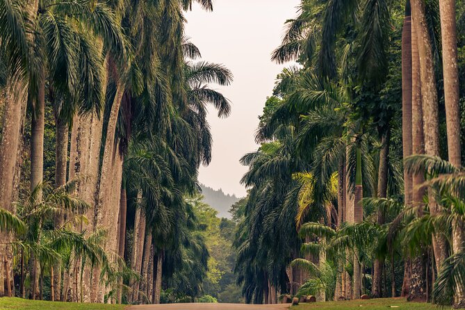 Kandy City Tour from Colombo - Who Should Book This Tour