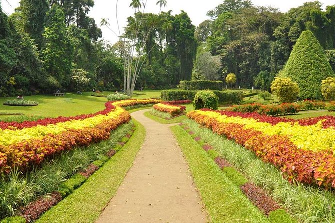 Kandy City Tour with Mahaweli - Kandy View Point: The Easy Win for Photos and Orientation