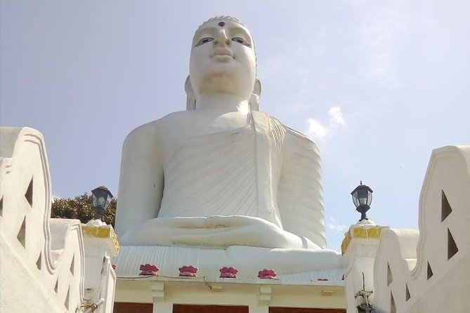 Kandy City Tour with Mahaweli - Price and Value: What $38 Buys You (Plus Ticket Costs)