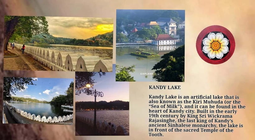 Kandy: City Tour with Temple of the Tooth & Tea Garden - Tea Garden Tasting: The Part That Makes the Day Feel Real