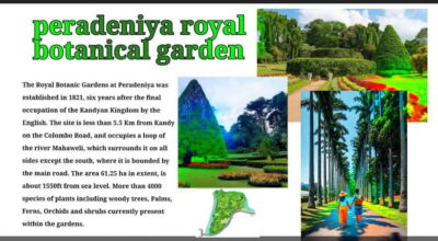Kandy: City Tour with Temple of the Tooth & Tea Garden - A British-Era Botanical Garden Break (Where Kandy Gets Cooler)