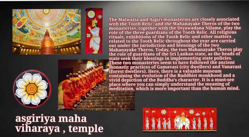 Kandy: City Tour with Temple of the Tooth & Tea Garden - Cultural Dance Show: Understanding Kandy’s Performance Style