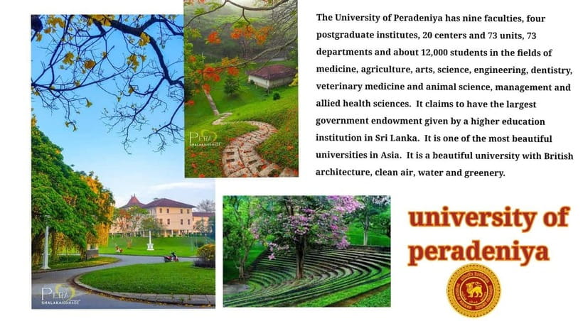 Kandy: City Tour with Temple of the Tooth & Tea Garden - University Walk and UNESCO City Texture