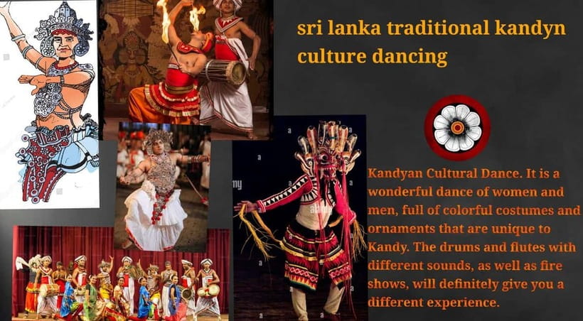 Kandy: City Tour with Temple of the Tooth & Tea Garden - Price and Value: What You’re Really Paying For