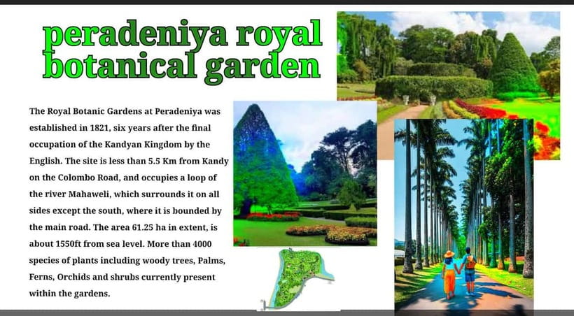 Kandy: City Tour with Temple of the Tooth & Tea Garden - A British-Era Botanical Garden Break (Where Kandy Gets Cooler)
