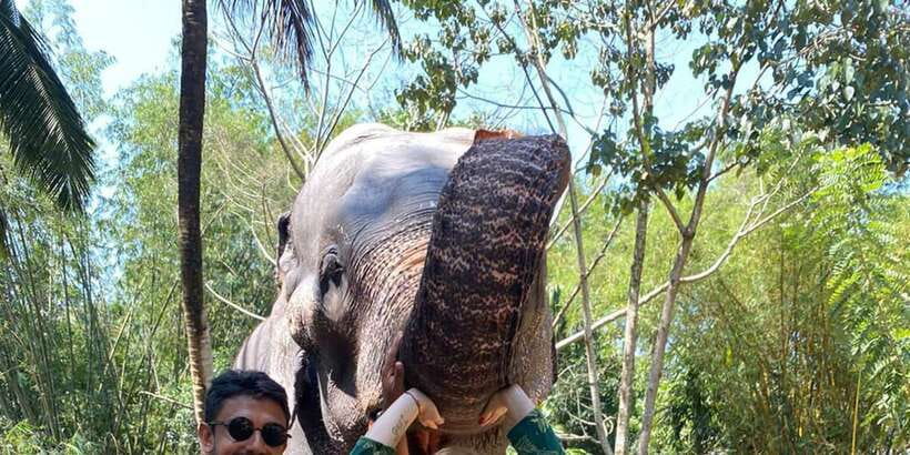 Kandy City Tours by Tuk Tuk - Kandiyan Dance Show and Ayurvedic Massage: Culture Plus a Reset