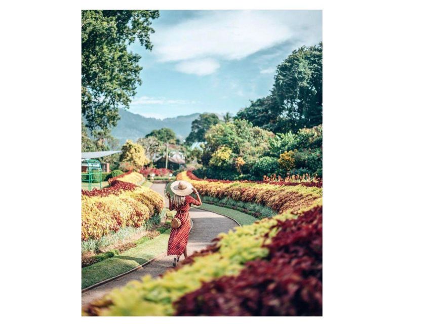 Kandy: City Tuk-Tuk Day Tours with a Local Guide - Budget and value: what the $4.85 price really means
