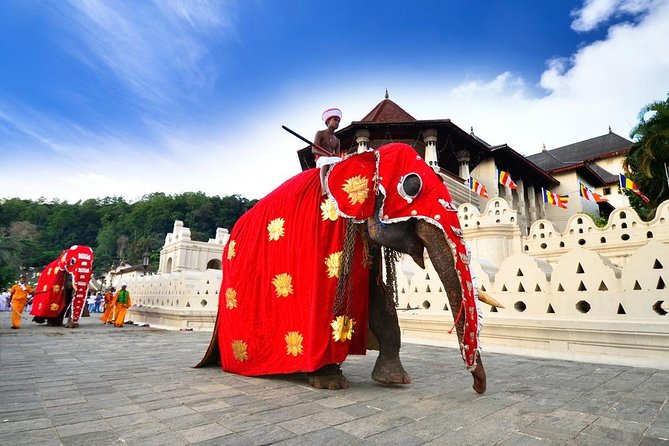 Kandy Day Tour - Royal Botanical Gardens, Peradeniya: the long stop that feels like a reset