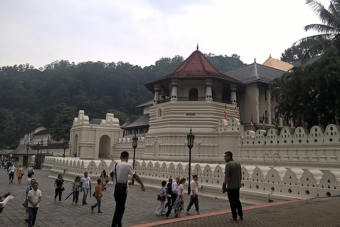 Kandy Day Tour From Colombo - Kadugannawa Tea Factory & Sales Center: learning the basics without going far