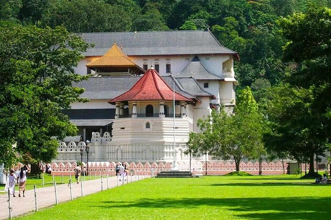 Kandy Day Tour From Colombo - Kandy Lake + View Point: Quick Climb, Big Results