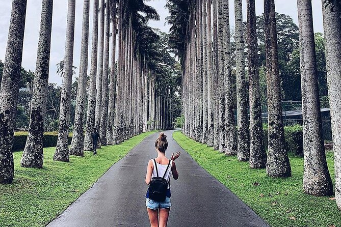 Kandy Day Tour From Colombo - Kandy City for Four Hours: Time to Wander with a Plan