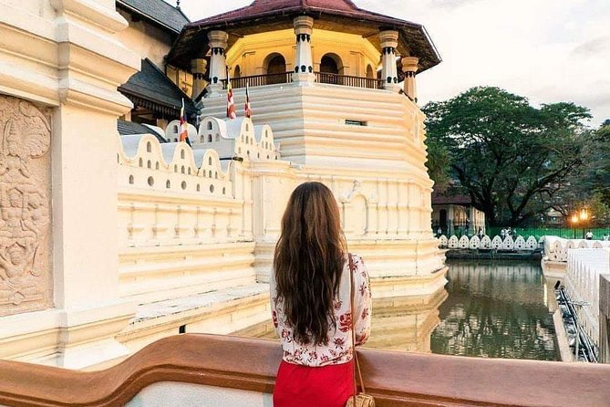 Kandy Day Tour From Colombo - Geragama Tea Factory: What You’re Really Getting