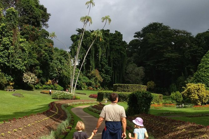Kandy Day Tour From Colombo - Price and Value: What $55 Covers (and What It Doesn’t)