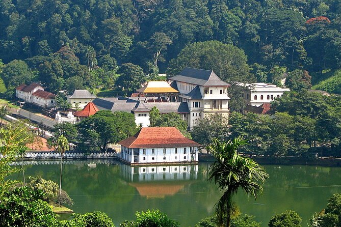 Kandy Day Trip with Tooth Relic Temple & Unique Attractions - Kadugannawa Tea Factory: Free Tastings and How Ceylon Tea Hits Your Cup