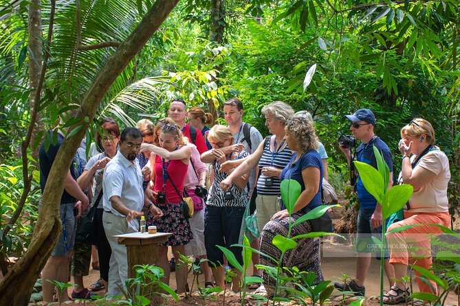 Kandy Day Trip with Tooth Relic Temple & Unique Attractions - Should You Book This Kandy Day Trip From Bentota?
