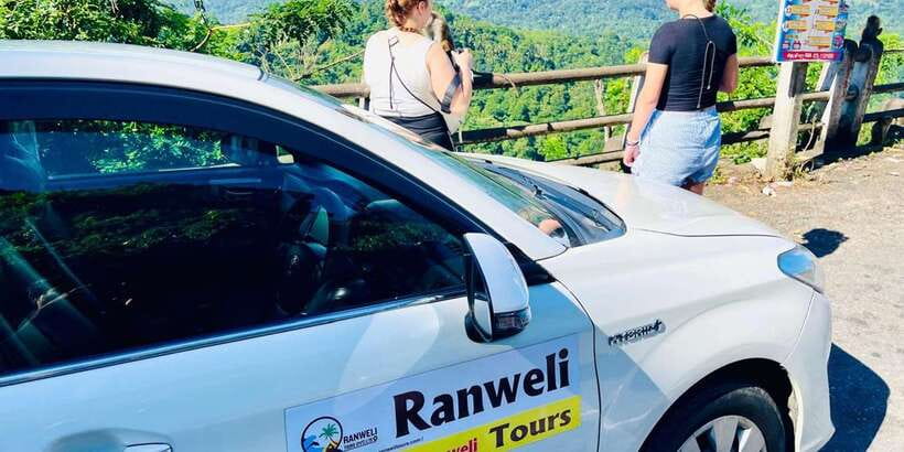 Kandy Drop with City Tour from Colombo, Negombo, Airport - Elephants at Pinnawala Before the Tea and Spice Stops