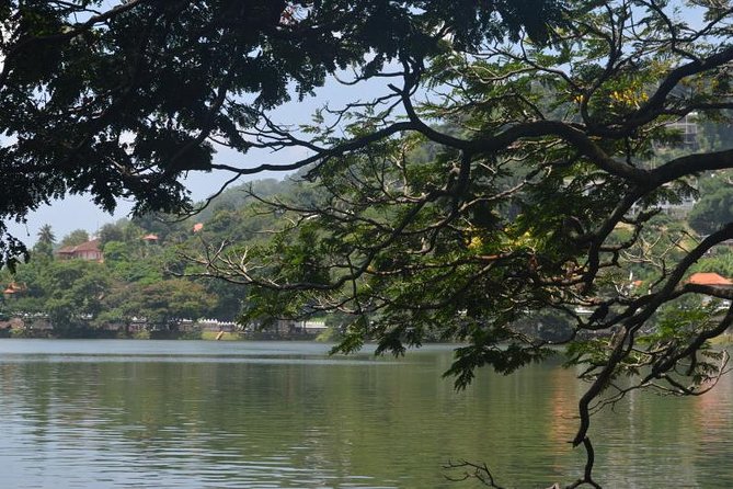 Kandy Full-Day Tour - Kadugannawa tea factory and tea estate: see how the cup gets made
