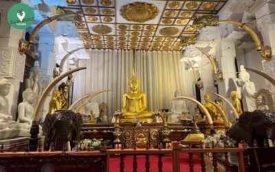 Kandy: Local Guided City Explore by Tuk Tuk - Temple of the Tooth: the sacred relic and the royal palace vibe