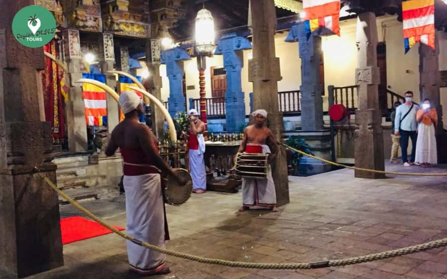 Kandy: Local Guided City Explore by Tuk Tuk - Peradeniya Botanical Gardens: a big garden day in a tight schedule