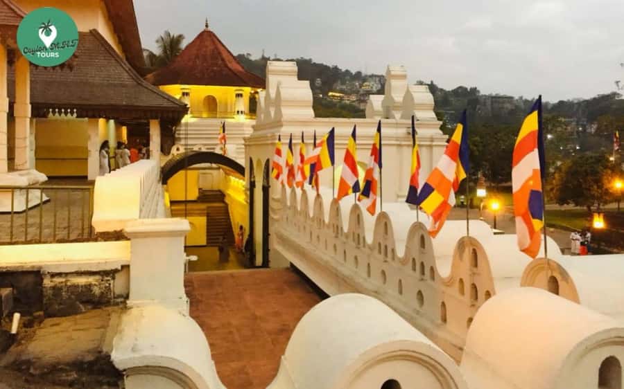 Kandy: Local Guided City Explore by Tuk Tuk - Kandy Central Market: a local stop that’s more useful than souvenir shopping