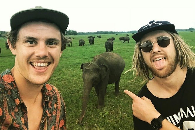 Kandy - Minneriya National park & Sigiriya Rock by tuk tuk tours - A packed one-day circuit: Kandy to Dambulla, Sigiriya, and Minneriya