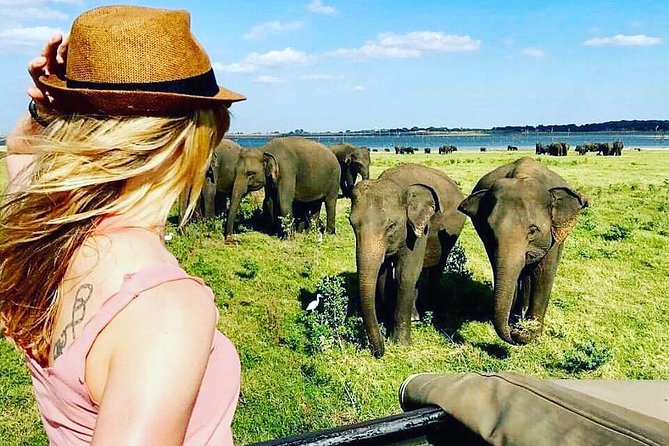 Kandy - Minneriya National park & Sigiriya Rock by tuk tuk tours - Dambulla Cave Temple climb: the spiritual highlight with practical shoe advice