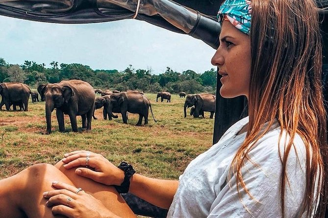 Kandy - Minneriya National park & Sigiriya Rock by tuk tuk tours - Sigiriya Rock: how to visit wisely without losing the safari day