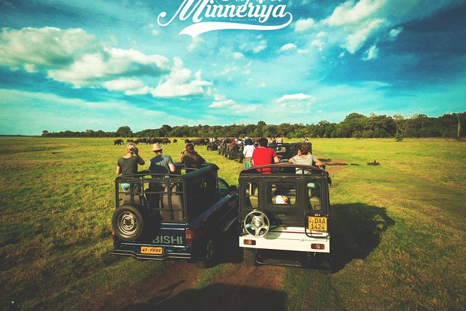 Kandy - Minneriya National park & Sigiriya Rock by tuk tuk tours - Minneriya National Park jeep safari: elephants, birds, and the wait-and-watch rhythm