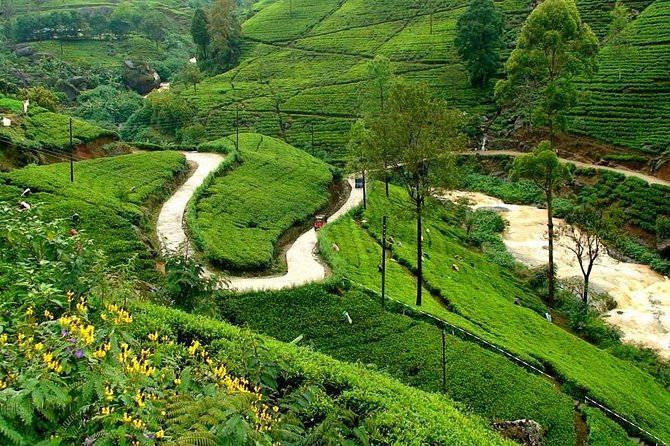 Kandy & Nuwara Eliya | 2 Days Tour - How the Kandy day is built: spice, gardens, city, then culture