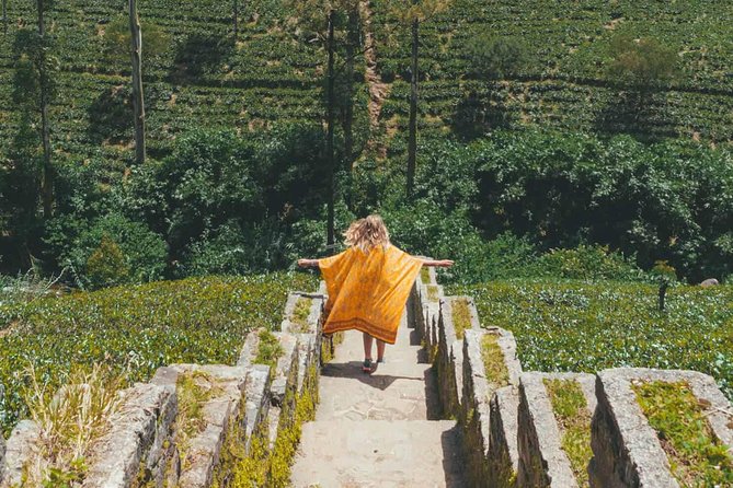 Kandy & Nuwara Eliya | 2 Days Tour - Royal Botanical Gardens: 4,000 plant species and real garden wow