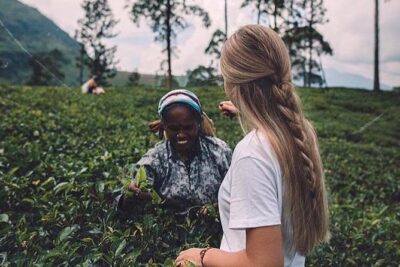 Kandy & Nuwara Eliya | 2 Days Tour - Spice Garden and Ayurveda-style storytelling (plus a 10-minute head massage)