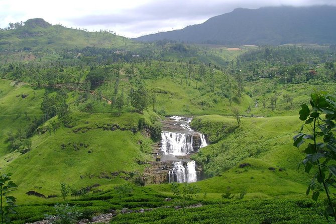 Kandy & Nuwara Eliya | 2 Days Tour - Day 2 drive to Nuwara Eliya: tea valleys, waterfalls, and misty viewpoints